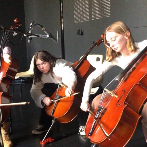 violoncelles-classe-de-leblanc